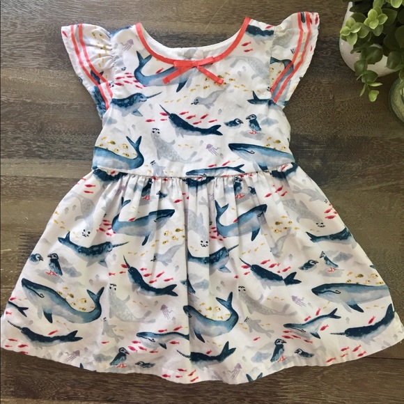 OshKosh B'gosh Other - 🌊  Adorable Narwhal dress